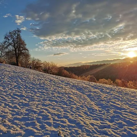 Traumhaftes Ferienhaus Am Lateinberg - 8455 Eibiswald Suedsteiermark Exteriér fotografie