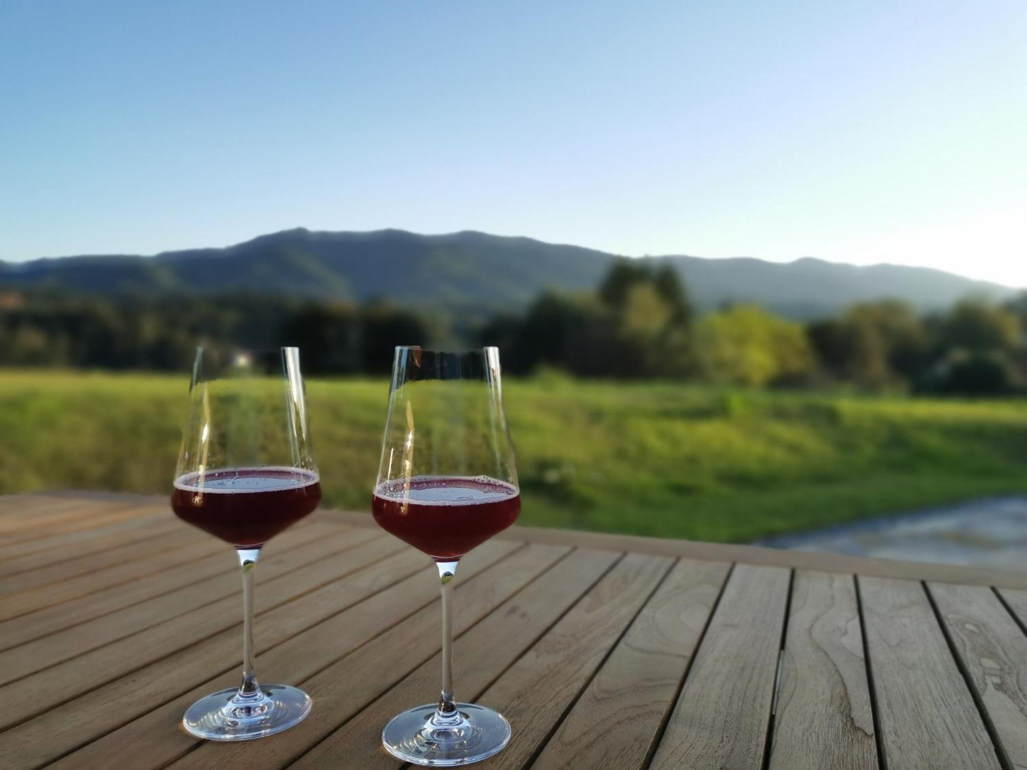 Holiday home Traumhaftes Am Lateinberg - 8455 Suedsteiermark