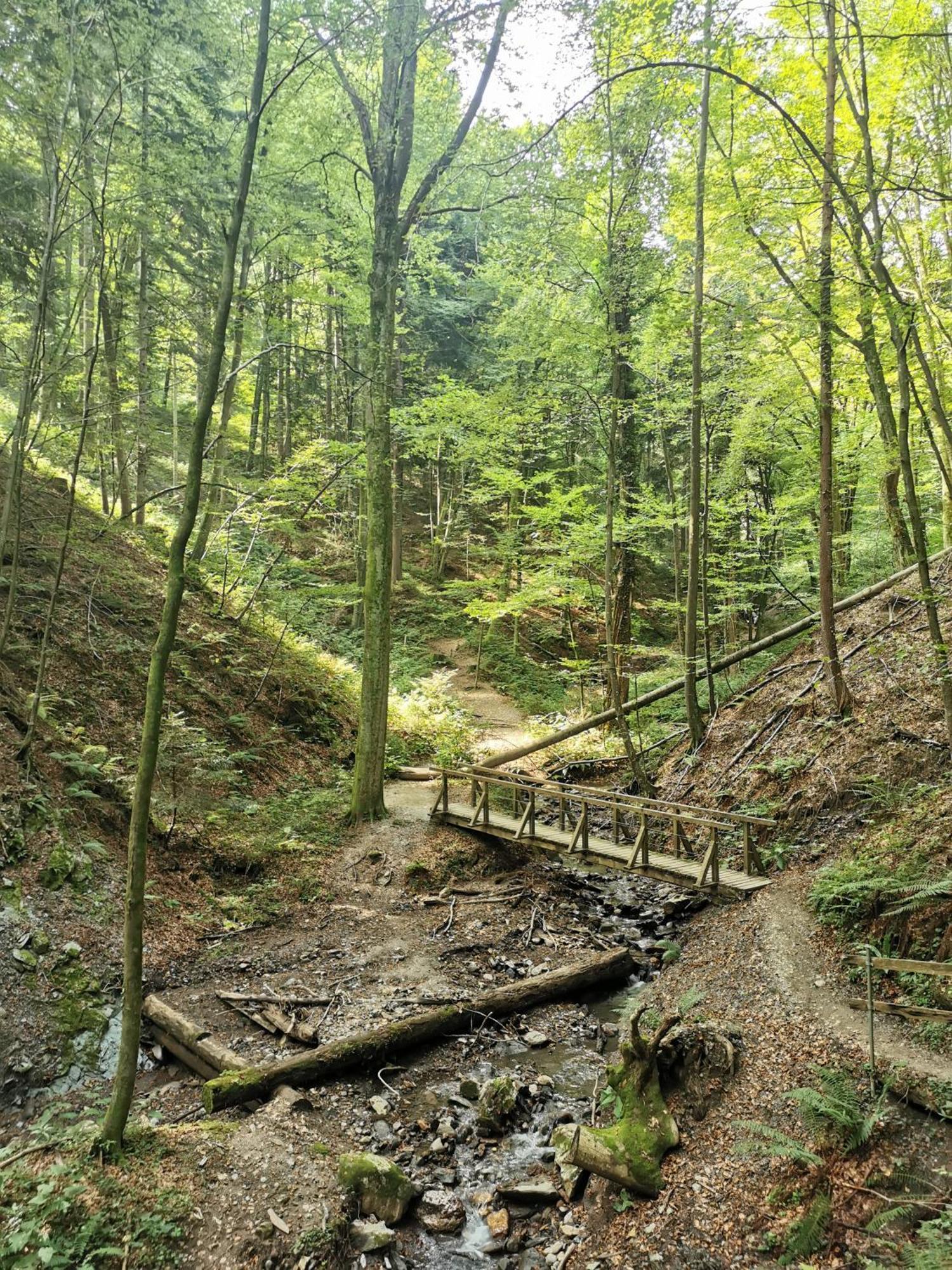 Prázdninový dům Traumhaftes Am Lateinberg - 8455 Suedsteiermark Eibiswald