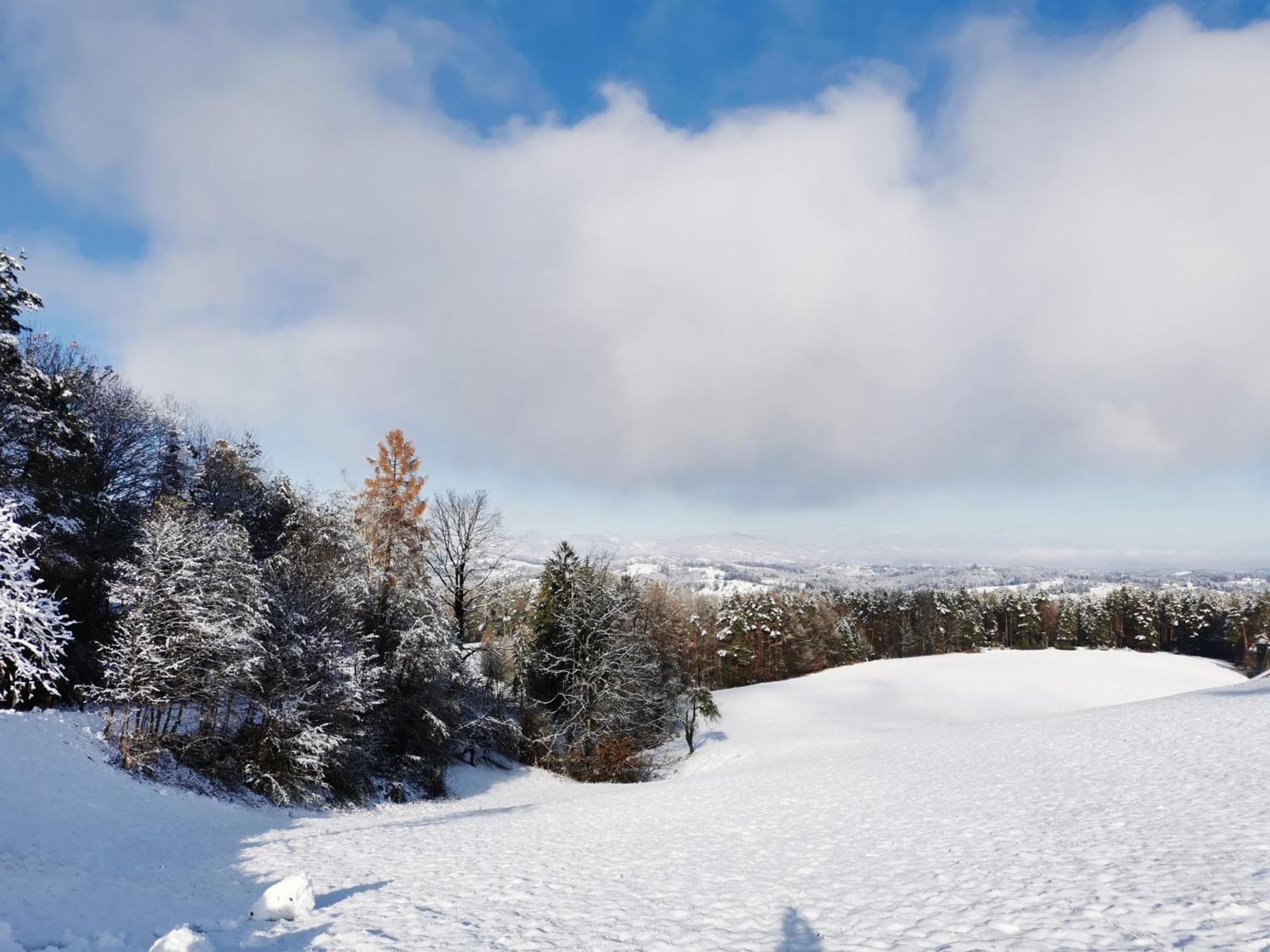 Traumhaftes Am Lateinberg - 8455 Suedsteiermark Eibiswald