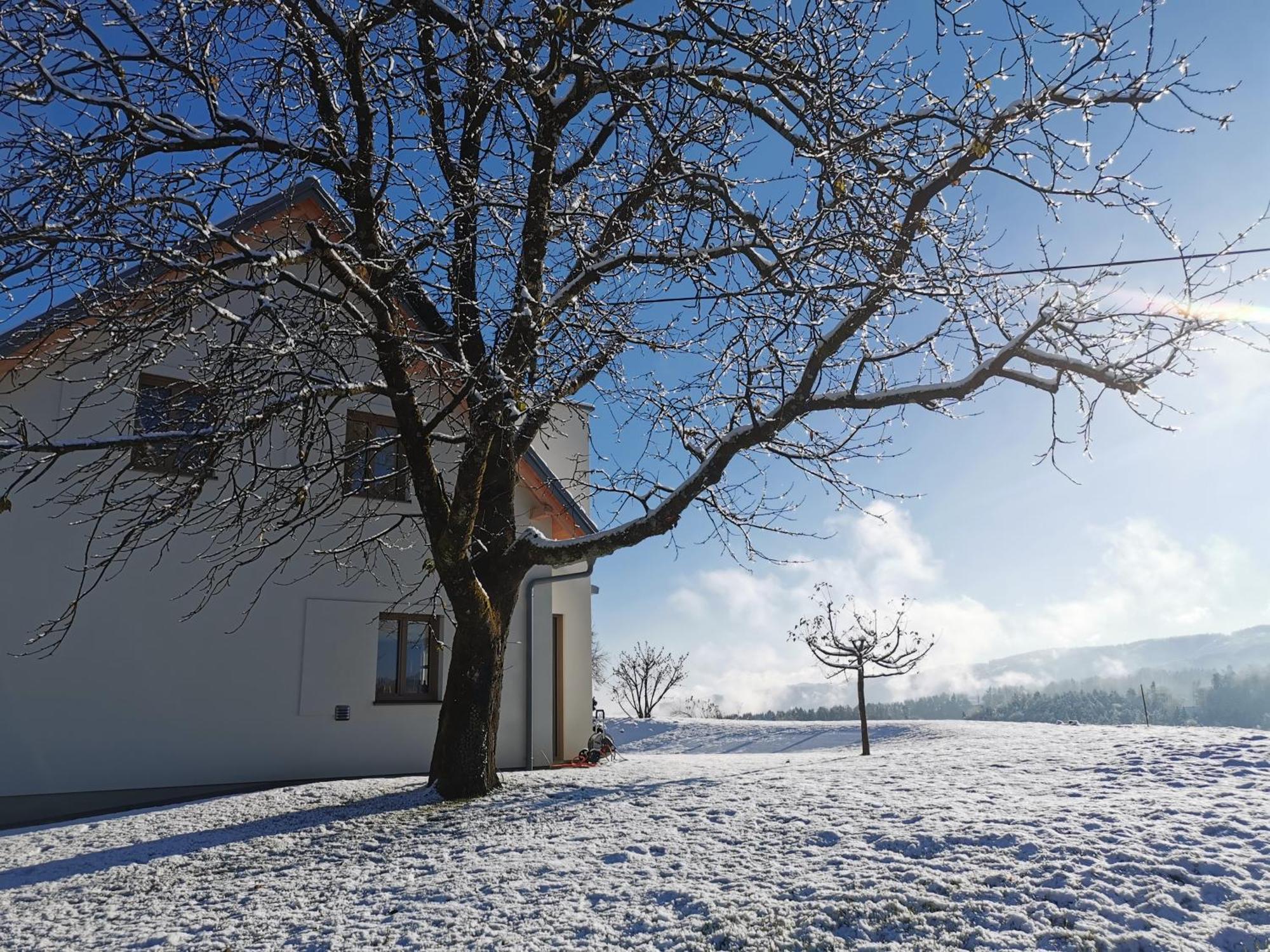Traumhaftes Am Lateinberg - 8455 Suedsteiermark Holiday home *