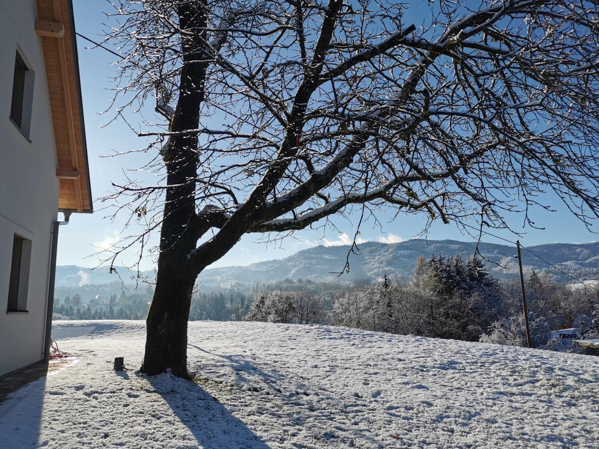 Holiday home Traumhaftes Am Lateinberg - 8455 Suedsteiermark
