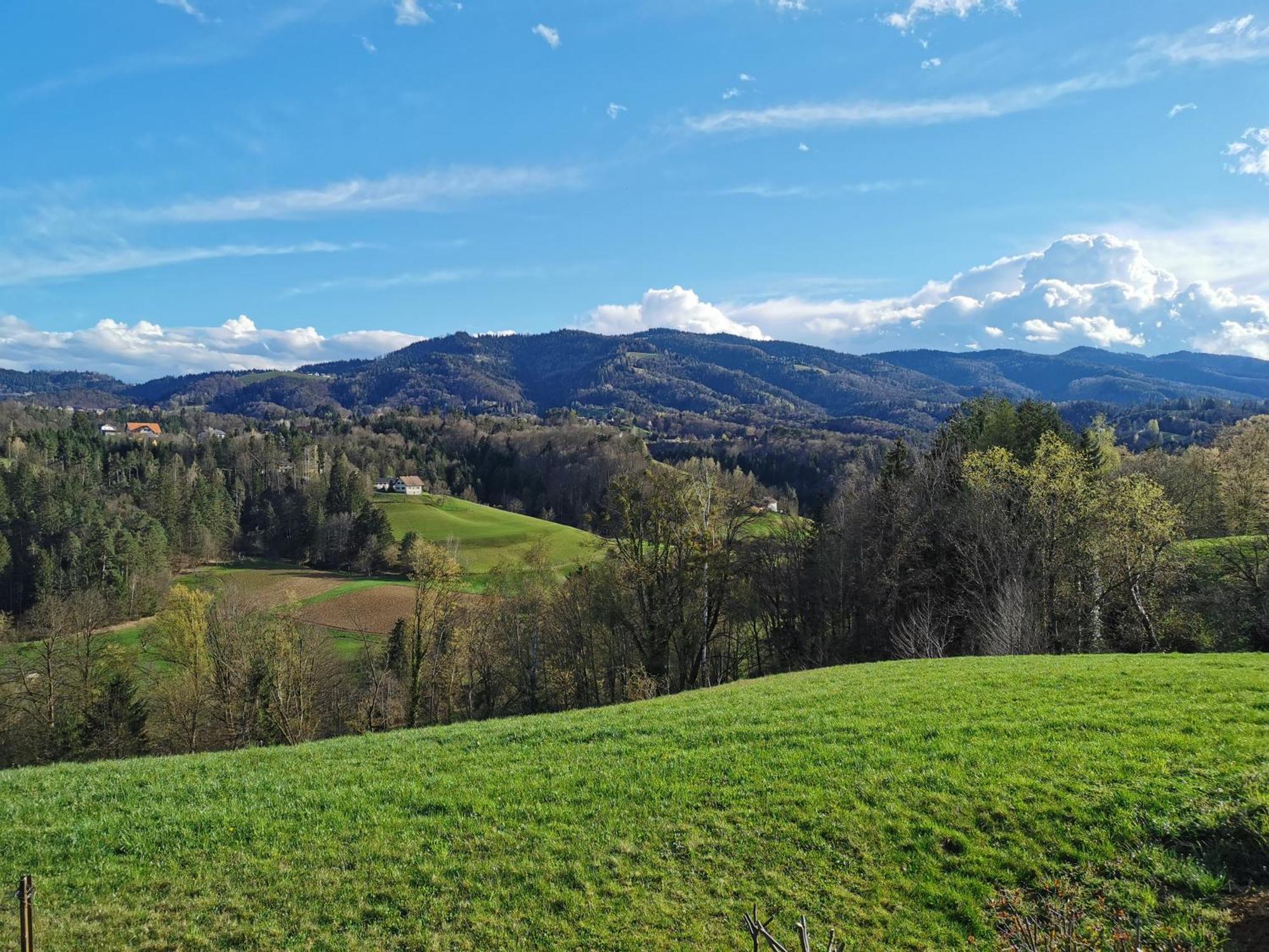 Traumhaftes Am Lateinberg - 8455 Suedsteiermark Holiday home *