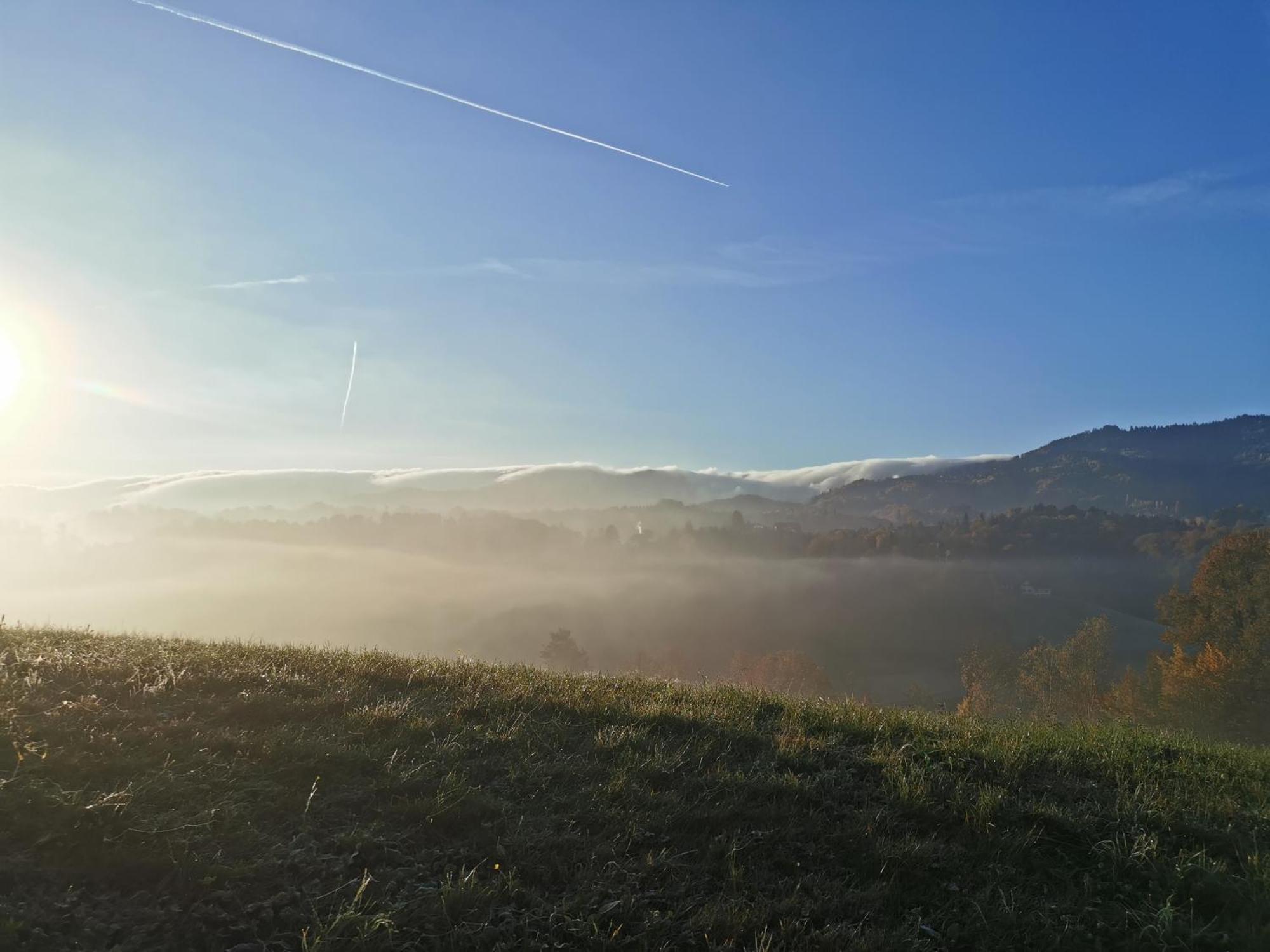 Holiday home Traumhaftes Am Lateinberg - 8455 Suedsteiermark *
